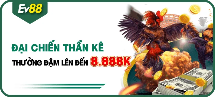 Khuyến mại EV88 – Đá gà thắng liên tục thưởng lên tới 8.888k