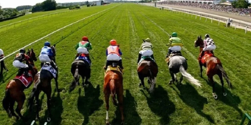 Hướng dẫn chi tiết cách cá độ đua ngựa dành cho người mới